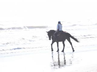 1° Raduno Un mare di amazzoni