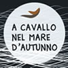 slowpark it a-cavallo-c2 026